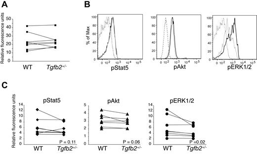 Figure 2. Effect of TGF-β2 deficiency on STAT5, AKT, and ERK1/2 phosphorylation. (A) FLT3 expression on LSK cells from Tgfb2+/− mice and wt littermates, as measured by flow cytometry (n = 8; P = .93; left). Data are presented as the ratio of FLT3-PE and isotype control IgG2a-PE geometric mean fluorescence. (B) Representative example of flow cytometric analysis of phosphorylation of STAT5, AKT, and ERK1/2 in LSK cells from Tgfb2+/− (gray) and wt littermate (black) mice. IgG controls are shown in dashed lines. (C) Intracellular phosphorylated STAT5 (pSTAT5; n = 6; P = .11), AKT (pAKT; n = 7; P = .06), and ERK1/2 (pERK1/2; n = 6; P = .02) levels in wt and Tgfb2+/− LSK cells. Data are presented as the ratio of pAKT, pSTAT5, or pERK1/2 and isotype control geometric mean fluorescence. Lines connect data from Tgfb2+/− and wt mice within the same litter and experiment. P values were calculated with Wilcoxon signed rank test for paired samples, not normally distributed.