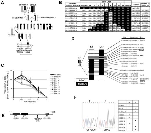 Figure 4. Fine-mapping of Tb2r1. (A) Schematic representation of the generation of SISCSs from congenic mice. (B) Map of telomeric region of chr.4 in B6.D2-chr.4 mice and SISCS. DFPSNP indicates distance from preceding SNP. (C) TGF-β2 response of LSK cells from SISCS in FLT3L, KL, and TPO, 50 ng/mL each, 10% serum (n > 3; P < .05). (D) SNP map of the C57BL/6-derived region shared between SISCS lines 9 and 13. (E) Structure of PRDM16 protein. PR indicates PR domain (SET); ZF, zinc finger domain; and NS-SNP, nonsynonymous SNP at aa 760. (F) DNA sequencing of the region surrounding rs32942538 in exon 9 of Prdm16 in C57BL/6 and DBA/2 mice. The left panel shows the alleles of rs32942538 in C57BL/6, DBA/2, B6.D2-chr.4, and several SISC lines.