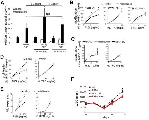 Figure 5. Role of PPARγ. (A) Transcriptional activity of a PPAR-driven reporter gene in COS-7 cells cotransfected with PPARγ/RXRα and with Prdm16(B6) or Prdm16(D2) expression vectors in the presence or absence of rosiglitazone (1μM) (luciferase values relative to renilla luciferase activity; n = 9). (B) Effect of rosiglitazone (1μM) on FLT3L (left) or KL/TPO (middle) supported proliferation of LSK cells from C57BL/6 mice (n = 4; *P < .05), and on FLT3L-supported proliferation of B6.D2-chr.4 congenic mice (right; 1 triplicate experiment). Data were normalized across experiments to proliferation observed at 10 ng/mL FLT3L and DMSO control. (C) Effect of rosiglitazone on FLT3L-induced and KL/TPO-induced proliferation of C57BL/6 LSK cells in the presence and absence of SB431542 (n = 3 triplicate experiments; data expressed as percentage of the proliferation at 10 ng/mL of each cytokine). (D) Effect of GW9662 (1μM) on FLT3L (left) and KL/TPO (right) supported proliferation of C57BL/6 LSK cells in serum-containing cultures (n ≥ 4; *P = .03; data expressed as percentage of the proliferation at 10 ng/mL of each cytokine.). (E) FLT3L- and KL/TPO-supported proliferation of LSK cells isolated from mice fed with chow or rosiglitazone for 3 weeks in the presence of 10% serum (*P < .05; n = 6). (F) PB white blood cell (WBC) counts in FLT3−/− and wt mice gavaged with rosiglitazone (15 mg/kg) or DMSO daily on days 0-4 after administration of 5-FU on day 0 (150 mg/kg intraperitoneally; n = 10; *P < .05 compared with wt DMSO).