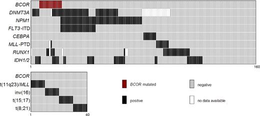 Figure 4. Correlation pattern between molecular mutations and karyotype. Data are given for associations between BCOR mutations and DNMT3A, NPM1, FLT3-ITD, CEBPA, MLL-PTD, RUNX1, and IDH1 and IDH2 mutations in 160 patients (top panel). The association between BCOR mutations and entity-defining cytogenetic abnormalities (40 patients) is shown in the bottom panel.