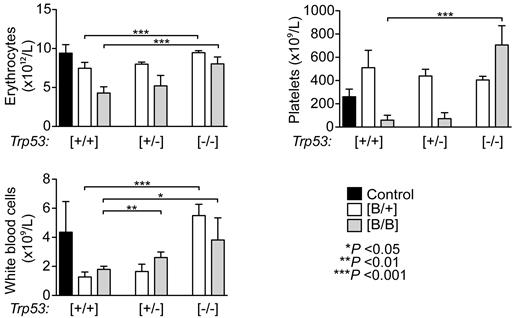 Figure 6. Inactivation of Trp53 rescues the Rps19-deficient hematopoiesis depending on the level of Rps19 down-regulation. Lethally irradiated wild-type recipient mice were transplanted with 5 × 106 bone marrow cells from transgenic donors (that were either Trp53+/+, Trp53+/−, or Trp53−/−) followed by doxycycline administration to recipients starting 2 weeks after transplantation. Erythrocyte, platelet, and leukocyte numbers in peripheral blood of recipient mice after 2 weeks of doxycycline administration are shown (n = 4-9 recipients per genotype). Error bars represent SD.