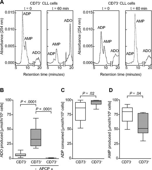Figure 4. CD39+/CD73+ CLL cells generate ADO from ADP. An HPLC assay was adopted to follow the enzymatic conversion of ADP to AMP (CD39 dependent) and to ADO (CD73 dependent). (A) Representative CD39+/CD73+ (left) and CD39+/CD73− (right) patients are shown at t = 0 and after 60 minutes of incubation with 100μM ADP under physiologic conditions. ADP, AMP, and ADO are shown in a single HPLC run. Cumulative data of ADO production in presence or absence of 10μM APCP (B), ADP consumption (C), or AMP production (D) in CD73− and CD73+ CLL patients. A functional cut-off for CD73 expression was designated at 30%. Peak identities were confirmed by comparing the retention times and the UV spectra of samples with standard compounds. Concentrations were calculated by comparing the peak area of samples with calibration curves for peak areas of each standard. All concentrations are expressed as micromoles per hour per 106 cells. Statistical analysis was performed using Mann-Whitney U test. n = 20.