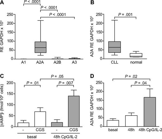 Figure 5. Expression of type 1 ADO receptors by CLL cells. Purified leukemic cells from CLL patients were analyzed for the expression of the 4 known ADO receptors. (A) RT-PCR data on the mRNA levels of A1, A2A, A2B, and A3 receptors. n = 35. (B) A2A levels in CLL patients (n = 35) were compared with sex- and age-matched individuals without evidence of CLL (n = 8). (C) Ligation of A2A with the selective agonist CGS21680 (10μM, for 30 minutes at 37°C) induces a significant increase in intracellular cAMP levels in basal conditions and on treatment with CpG/IL-2 (1 μg/mL and 100 IU/mL, respectively) for 48 hours. n = 8. (D) RT-PCR analysis of A2A expression in freshly purified CLL cells (basal) or in cells cultured for 48 hours with or without CpG/IL-2. n = 9. The Mann-Whitney U test was used to determine statistical significance. CGS indicates CGS21680.