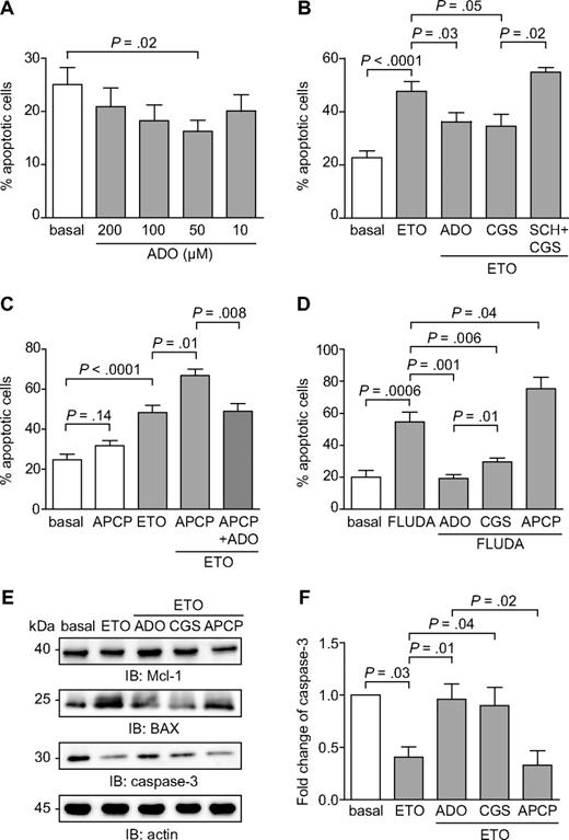 Figure 7. Extracellular ADO protects from both spontaneous and drug-induced apoptosis. (A) Purified CLL cells were plated with or without extracellular ADO at the indicated doses. The percentage of apoptotic cells was determined after 16 hours. n = 10. (B) CLL cells were cultured in the presence of etoposide (50μM) in combination with ADO (50μM). Where indicated, CLL cells were pretreated with CGS21680 (10μM, for 30 minutes at 37°C) alone or in combination with SCH58261 (10μM, for 30 minutes at 37°C). n = 10. (C) CD73 enzymatic activity was blocked using the APCP inhibitor (10μM, for 60 minutes at 37°C). Pretreatment of CLL cells with APCP in the presence of etoposide (50μM) significantly increase the apoptotic rate, corrected by the addition of exogenous ADO (50μM). n = 10. (D) Purified CLL cells were treated with fludarabine (5μM), alone or in combination with ADO (50μM), and apoptosis was evaluated after 48 hours. Where indicated, CLL cells were pretreated with CGS21680 or APCP (10μM, for 30 minutes and 60 minutes at 37°C, respectively). n = 10. (E) Western blot analysis of the expression of the p53-dependent genes Mcl-1, BAX, and caspase-3, after the exposure of CLL cells to etoposide (50μM) as DNA-damaging agent. (F) Quantitative analysis of caspase-3 expression. Fold change is represented as the ratio of each treatment on the basal condition. n = 5. Error bars represent the SEM in all the graphs. Statistical analysis was performed using Student t or Wilcoxon signed rank tests. SCH indicates SCH58261; ETO, etoposide; and FLUDA, fludarabine.