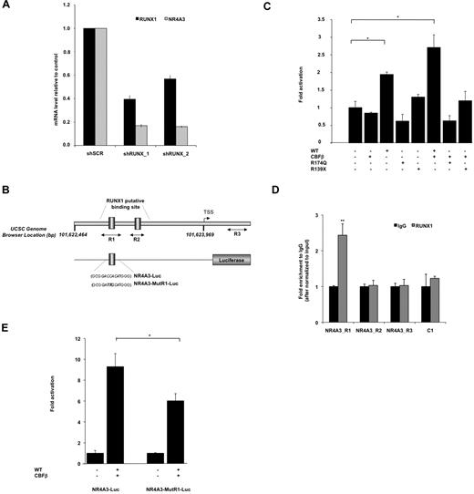 Figure 6. NR4A3 is a target gene of RUNX1 in hematopoietic progenitors. (A) Effect of RUNX1 knockdown on NR4A3 expression. Q-PCR analysis of CD34+GFP+ cells transduced with the lentivirus expressing shRUNX1_1, shRUNX1_2, or a shSCR (scramble control sequence). The mRNA level of RUNX1 and NR4A3 was normalized to HPRT mRNA level. The histograms show 1 representative experiment of 2, each in triplicate. Error bars represent ± SD of triplicate. (B) Schematic representation of the NR4A3 human promoter region. The arrowhead represents the putative transcription start site. 101,622,464_101,623,969 designates Chr9 genomic positions of the region cloned in luciferase analysis (UCSC hg18 assembly, http://genome.ucsc.edu/). Two-side black arrows designate genomic positions of the amplicons used in ChIP analysis. NR4A3-Luc and NR4A3-MutR1-Luc designate luciferase reporter vector with the region of NR4A3 promoter with or without the mutated R1 RUNX1 binding site in italic bold. (C) Luciferase levels are shown as fold increase relative to cells transfected with promoter construct alone. Error bars represent ± SD of 2 experiments, each in triplicate. *P < .05. (D) ChIP assay was performed on CD34+ cells and shows the fold difference in chromatin immunoprecipitated between anti-RUNX1 and irrelevant IgG after normalization to input chromatin (means ± SD, n = 2). Amplified NR4A3 promoter regions R1, R2, and R3 illustrated in panel B were tested. A nearby region without RUNX1 binding site (C1) was amplified and used as a negative control. (E) Luciferase levels are shown as the fold increase relative to cells transfected with normal promoter construct (NR4A3-Luc) alone (on left) and with mutated promoter construct (NR4A3-MutR1-Luc) alone (on right). Error bars represent ± SD of 2 experiments, each in triplicate. *P < .05.