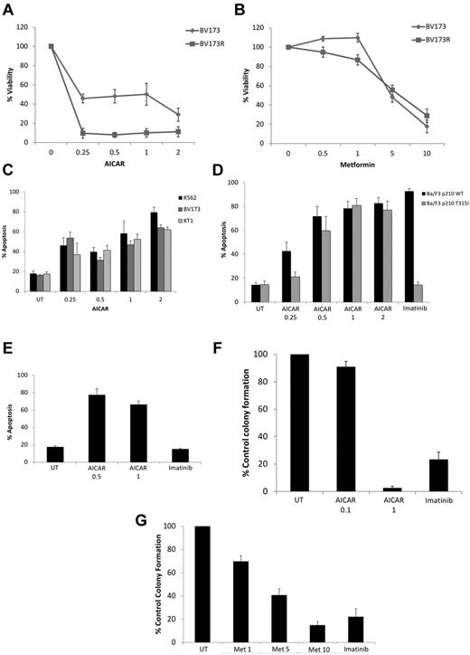 Figure 2. Antileukemic effects of AMPK activators. (A) BV173 or BV173R cells were treated for 5 days with the indicated concentrations of AICAR (mM), and cell viability was determined by methyl-thiazolyl-tetrazolium assays. Data are expressed as percentage control cells and represent mean ± SE of 4 experiments. (B) BV173 and BV173R cells were treated for 5 days with the indicated concentrations of metformin (mM), and cell viability was determined by methyl-thiazolyl-tetrazolium assays. Data are expressed as percentage control cells and represent mean ± SE of 4 experiments. (C) K562, KT1, and BV173 cells were treated with increasing concentrations of AICAR (mM) for 72 hours, as indicated. Apoptosis was assessed by annexin V/PI staining. Data represent mean ± SE of 4 experiments. (D) Ba/F3 cells stably expressing WT-BCR-ABL or T315I-BCR-ABL were treated with either AICAR (mM) or imatinib mesylate (1μM) for 72 hours, as indicated. Apoptosis was assessed by annexin V/PI staining. Data represent mean ± SE of 4 experiments. (E) BV173R cells expressing the T315I mutation were treated with the indicated concentrations of AICAR (mM) or imatinib (5μM) for 72 hours, as indicated. Apoptosis was assessed by annexin V/PI staining. Data are mean ± SE of 4 experiments. (F-G) Effects of different concentrations of AICAR (mM; F), metformin (mM; G), and imatinib mesylate (1μM) on primary leukemic progenitor colony formation (CFU-GM) from CML patients in clonogenic assays in methylcellulose. Data are expressed as percentage control leukemic CFU-GM colony formation of untreated samples and represent mean ± SE of 7 experiments for panel F and 9 experiments for panel G.