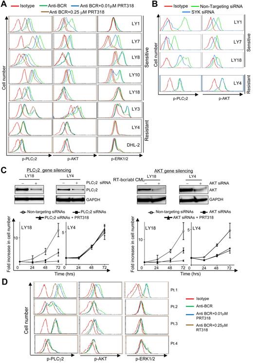Figure 7. Molecular mechanisms that determine responses of DLBCL to SYK inhibition or reduction. (A) Dose-dependent inhibition of BCR signaling in sensitive but not resistant DLBCL cell lines. Simultaneous phospho-flow analyses of p-PLCγ2 (left column), p-AKT (middle column), and p-ERK1/2 (right column) in DLBCL cells lines indicated on the right. Red traces indicate isotype control; green, cells stimulated with anti-BCR in the absence of PRT318; blue, stimulated cells treated with a 0.01μM concentration of inhibitor; and brown, stimulated cells treated with a 0.25μM concentration of drug. (B) Effects of SYK siRNA on PLCγ2 and AKT phosphorylation. LY1, LY7, LY18, and LY4 were transfected with SYK (blue traces) or control (green) siRNA pools. Phosphorylation was measured by the phospho-flow assays 48 hours after transfection. (C) Top panels show immunoblots of PLCγ2 or AKT protein in LY18 and LY4 cells transfected with PLCγ2 (+), AKT (+), or control siRNA (-) pools. GAPDH was blotted as a loading control. Bottom panels show simultaneous cell counting conducted at the indicated times after transfection. The fold increase in cell number indicates viable cell numbers relative to those at time 0. (D) Inhibition of BCR signaling in primary DLBCL lymphoma cells. Simultaneous phospho-flow analyses of p-PLCγ2 (left column), p-AKT (middle column), and p-ERK1/2 (right column) in primary DLBCL tumor cells. Color legends are as in panel A. Pt indicates patient.