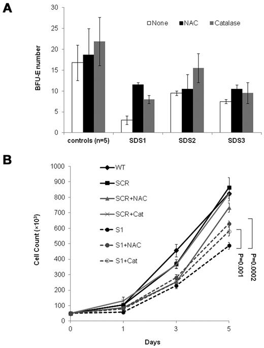 Figure 5. Rescue of SBDS-knockdown slow cell growth with antioxidants. (A) SDS patients and healthy control bone marrow CD34+ cells were plated in duplicates at a density of 1 × 103 cells/1 mL dish with serum-free containing methylcellulose and a cytokine cocktail (SCF, GM-CSF, IL-3, IL-6, G-CSF, and erythropoietin). Additional duplicate cultures were plated in the same conditions, but with N-acetylcysteine or catalase. BFU-E colonies containing 50 or more cells were scored after 14 days under an inverted microscope. (B) SBDS-knockdown and control K562 cells were induced to undergo erythroid differentiation by plating 2 × 104 cells/35-mm dishes with hemin. Replicate cultures were either not treated or treated with N-acetylcysteine 500μM or treated with catalase 500 U/mL and assessed daily for cell numbers by trypan blue exclusion. The cell growth of the SBDS-knockdown K562 cells after 5 days was significantly improved with N-acetylcysteine (P < .05) and catalase (P < .05) treatment.
