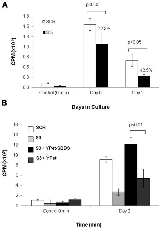 Figure 7. Global translation in SBDS-deficient cells. (A) Global translation in K562/shSBDS-3 and K562/SCR was studied by measuring incorporation of 35S-methionine/cysteine into equal amounts of newly synthesized trichloroacetic acid-precipitable peptides. Data are the mean ± SE of 3 experiments. Statistically significant results using t test: *P < .05. The ratios of the knockdown cells to control are presented in percentages. (B) Global translation in stable SBDS-knockdown cells after reintroduction of SBDS. Data are the mean ± SE of 3 experiments. *P < .05, statistically significant results using 1-way ANOVA and Tukey test for multiple means against both S-3 + YPET and S-3 cells.