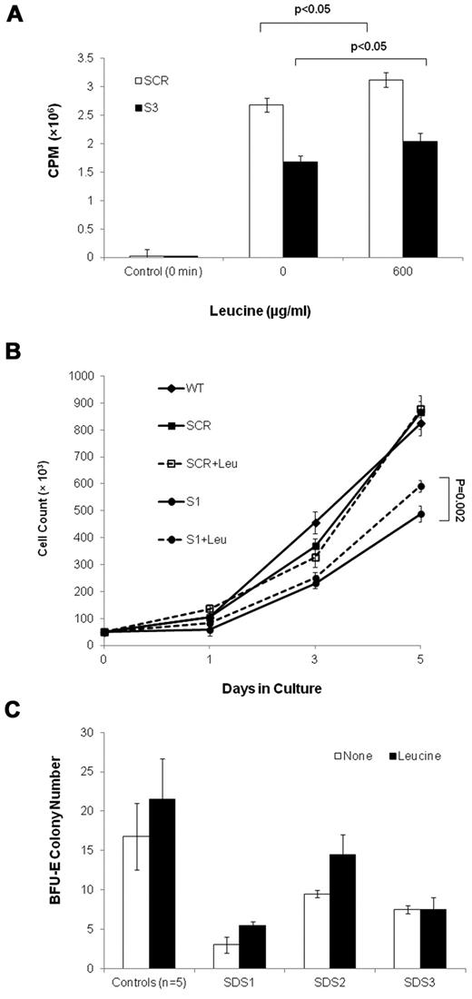 Figure 8. Leucine treatment of SBDS-deficient cells. (A) Translation in S-3 cells and SCR cells was studied by measuring incorporation of 35S-methionine/cysteine into equal amounts of newly synthesized trichloroacetic acid-precipitable peptides. Data are the mean ± SE of 3 experiments. *P < .05, statistically significant results (t test). (B) SBDS-knockdown and control K562 cells were induced to undergo erythroid differentiation by plating 2 × 104 cells/35-mm dishes with hemin. Replicate cultures were either treated or not treated with 600 μg/mL of leucine and assessed daily for cell numbers by trypan blue exclusion. The cell growth of the SBDS-knockdown K562 cells after 5 days was significantly improved with leucine treatment (P < .05). (C) SDS patients and healthy control bone marrow CD34+ cells were plated in duplicates at a density of 1 × 103 cells/1 mL dish with serum-free containing methylcellulose and a cytokine cocktail (SCF, GM-CSF, IL-3, IL-6, G-CSF, and erythropoietin). Additional duplicate cultures were plated in the same conditions, but with leucine. BFU-E colonies containing 50 cells or more were scored after 14 days under an inverted microscope.