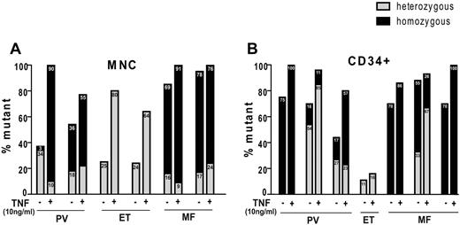 Figure 3. TNF selects for JAK2V617F+ colony formation. Percentage of JAK2V617F mutant colonies in the absence or presence of TNFα. Colonies were plucked from (A) 6 MNC starting material and (B) 6 CD34+ starting material from plates with 0 ng/mL and 10 ng/mL TNFα (at least 30 individual colonies per condition) and JAK2 mutational status was determined. Panels A and B represent different patients and are numbered arbitrarily. Mutational analysis of separated CFU-GM and BFU-E from these patients is provided in supplemental Figure 3.