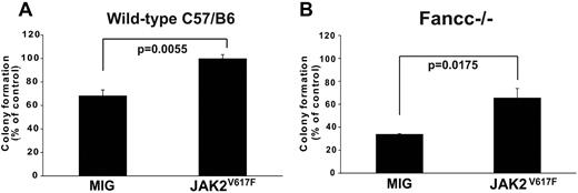 Figure 5. Ectopic expression of JAK2V617F attenuates TNFα-mediated suppression of myeloid colony formation. JAK2V617F or empty MIG vector was retrovirally expressed in hematopoietic progenitors (lineageneg c-kit+ Sca-1−) from the bone marrow of (A) wild-type and (B) Fancc−/− C57B/6J mice. Transduced (GFP+) cells were plated in methycellulose supplemented with 50 ng/mL mSCF, 10 ng/mL mIL-3 and 3 U/mL hEPO, either with or without TNFα (20 ng/mL for wild-type 10 ng/mL for Fancc−/−). Colony number was enumerated at day 12, with colony formation in conditions without TNFα set to 100%.