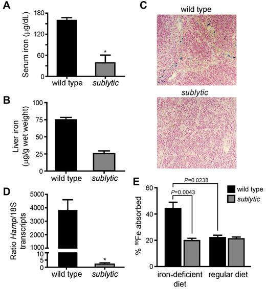 Figure 3. Sublytic mice are iron deficient. (A) Serum iron levels (n = 5 for wild-type mice and n = 3 for sublytic mice, P = .0357). (B) Liver iron stores (n = 4 for wild-type mice and n = 5 for sublytic mice, P = .0159). (C) Sections of spleens from sublytic and wild-type mice stained for iron with Prussian blue and shown at a 20× magnification. (D) Hamp expression measured by quantitative RT-PCR using total RNA isolated from liver. Expression was normalized to that of endogenous S18 transcripts (n = 5 for wild-type mice and n = 3 for sublytic mice, P = .0357). (E) Gastrointestinal iron absorption. Mice were maintained on a regular diet or on an iron-deficient diet for 1 month. Animals were fasted for 12 hours before gastric instillation of 59FeCl3. Iron absorption was determined 24 hours after gastric feeding (n = 6 for wild-type mice and n = 5 for sublytic mice). The percentage of absorption was calculated as the amount of radioactivity in the whole animal minus the gastrointestinal tract, divided by the amount instilled by gavage. Note that wild-type mice were rendered anemic, as determined by complete blood count analysis, by feeding with the iron-deficient diet for 1 month. Graphical data are expressed as means ± SEM. *P < .05.