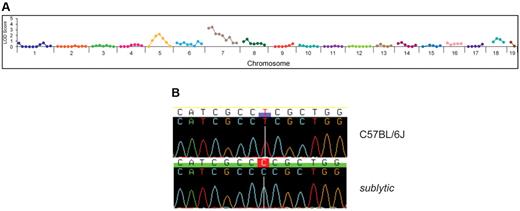 Figure 4. Genetic mapping and positional cloning of sublytic. (A) Genetic linkage on chromosome 7 was established by bulk segregation analysis mapping using 26 mice (10 anemic and 16 nonanemic mice). (B) A single nucleotide transition (T863C) was detected in Atp4a. This mutation results in a serine to proline change at position 282 of the encoded gastric H+,K+-ATPase α subunit.