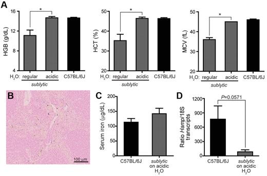 Figure 6. Maintenance on acidified drinking water rescues anemia in sublytic mice. Sublytic homozygous mice 2-4 months of age (n = 4) were maintained for a period of 3 months on drinking water acidified to pH 2.5-2.8 with hydrochloric acid. C57BL/6J mice (n = 6) were maintained for the same period on normal drinking water. Data shown are from analysis after 3 months of treatment. (A) Complete blood counts. *P < .05 by Student t test. (B) Section of spleen from sublytic homozygote stained for iron with Prussian blue and shown at a 20× magnification. (C) Serum iron levels and (D) Hamp expression measured by quantitative RT-PCR using total RNA isolated from liver. Expression was normalized to that of endogenous 18S transcripts. P = .0571 by Student t test.