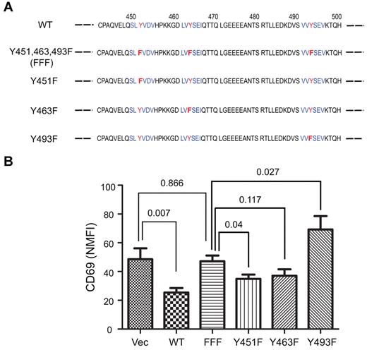 Figure 5. All 3 tyrosines in the cytoplasmic tail of FcRL4 are necessary for its inhibitory function. (A) Amino acid sequence of the cytoplasmic domain of FcRL4, in the region containing the 3 tyrosine motifs (in blue) with the tyrosines mutated to phenylalanine in red. (B) CD69 NMFI after BCR cross-linking in cell lines stably expressing either the wild-type or mutant of FcRL4s. Data shown are from 10 independent experiments and are expressed as means ± SD. P values between 2 groups were obtained from unpaired, 2-tailed Student t test.