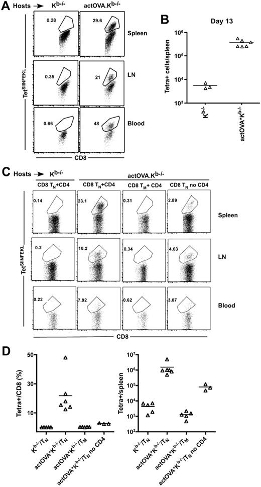 Figure 4. SIINFEKL-specific but not spontaneous memory T cells are restimulated by cross-presenting APCs. (A-B) Kb−/− and actOVA. Kb−/− mice were irradiated and reconstituted with C3H.SW BM and 5 × 105 sort-purified CD8+CD44+ CD8 cells from C3H.SW mice vaccinated 60 days earlier with anti–DEC205-OVA. Mice were killed 13 days after transplantation. (A) Representative flow cytometry (gating on Ly9.1+CD8+ cells). (B) Number of TetSIINFEKL+ cells per spleen. P = .024. (C) Kb−/− and actOVA.Kb−/− mice were transplanted as in panel A, except that they received C3H.SW sort-purified naive CD8+CD44−CD62L+ (1 × 106) or memory CD8+CD44+ (3 × 105) cells, with or without 105 CD4+CD25− cells. Representative flow cytometry of spleen, LN, and blood is shown in panel C (gated on Ly9.1+CD8+ cells). Percentage of CD8 cells that were TetSIINFEKL+ and total number of TetSIINFEKL+ per spleen are shown in panel D. P = .0043, comparing percentage and total number of TetSIINFEKL+ cells in recipients of CD4 cells and TN versus CD4 cells and TM. P < .036, comparing percentage and total number of TetSIINFEKL+ cells in recipients of TN with or without CD4 cells. Data combined from 2 independent experiments.