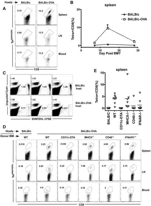 Figure 5. Optimal cross-presentation requires CD40L and type I IFN stimulation of conventional DCs. BALB/c or BALB/c-OVA mice were irradiated and reconstituted with B6 (CD45.2) BM, 106 CD8, and 105 CD4 cells from B6 CD45.1 mice. (A) Representative flow cytometry of spleen, LN, and blood on day 14 (gated on CD8+CD45.1+ cells). (B) Time course (at least 3 mice/group at each time). At day 14 after transplantation, unpulsed (cyan) or SIINFEKL-pulsed (CFSE) B6 splenocytes were infused and spleens were harvested 18 hours later. Note the selective killing of SIINFEKL-pulsed cells (C). Mice were transplanted as in panel A, except that they received donor B6 BM from WT, MHC class II−, CD11c-cre x ROSA26-flox-stop-DTA, CD40−/−, or IFNAR1−/− mice. Recipients were killed on day 14. Shown is representative TetSIINFEKL staining (D; gated on CD8+CD45.1+ cells). Percentages of CD8 cells that were TetSIINFEKL+ are shown in panel E. Data from 3 experiments combined. P = .02, comparing recipients of WT BM compared with recipients of IFNAR1−/− or CD40−/− BM.