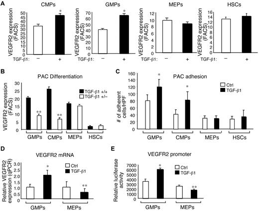 Figure 1. TGF-β1 regulates PAC differentiation and function. (A) VEGFR2 expression in BM-derived progenitors isolated from WT mice (A) or TGF-β1+/+ or TGF-β1+/− mice (B) and grown in the presence or absence of TGF-β1 (A) for 7 days (n = 3 per group). Percentage of VEGFR2 expression was analyzed by flow cytometry. *P < .01 versus no TGF-β1; **P < .01 versus TGF-β1+/−. (C) BM-derived progenitors grown in the presence of Ctrl (vehicle) or TGF-β1 and plated in fibronectin-coated wells were assessed for adhesion (n = 6 per group). HPF indicates high power field. *P < .05 versus Ctrl. (D) BM-derived GMPs and MEPs were grown in the presence or absence of TGF-β1 treatment were assessed for VEGFR2 mRNA expression by quantitative PCR (n = 3 per group). *P < .01 versus Ctrl; **P < .05 versus Ctrl. (E) TGF-β1–stimulated expression of the VEGFR2 promoter-luciferase reporter transfected in BM-derived GMPs and MEPs (n = 3 per group). *P < .01 versus Ctrl; **P < .05 versus Ctrl.