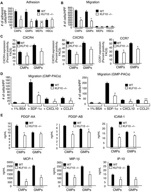 Figure 3. KLF10−/− CMP- and GMP-derived PACs possess markedly reduced migratory function and release of soluble paracrine factors. (A) The indicated WT or KLF10−/− BM-derived PACs were assayed for adhesion on fibronectin-coated plates. The number of adherent cells was quantitated after 15 minutes (n = 6 per group). *P < .01 versus WT; **P < .05 versus WT. (B) The indicated WT or KLF10−/− BM-derived PACs were assayed using a modified Transwell Boyden chamber in response to serum. The number of cells in the lower chamber was quantitated after 4 hours (n = 6 per group). *P < .01 versus WT. (C) Cell surface expression of the chemokine receptors CXCR4, CXCR3, and CCR7 was determined on the indicated WT or KLF10−/− BM-derived PACs by flow cytometry and expressed as percentage of positivity. (D) The indicated WT or KLF10−/− BM-derived PACs were assayed with a modified Transwell Boyden chamber in response to 1% BSA control or the chemokines SDF-1α, CXCL10, or CCL21. The number of cells in the lower chamber was quantitated after 4 hours (n = 6 per group). *P < .01 versus WT; **P < .05 versus WT. (E) Culture supernatants were harvested from the indicated WT or KLF10−/− CMP- and GMP-derived PACs assessed by ELISA for the indicated cytokines, growth factors, or chemokines (n = 3 per group). *P < .01 versus WT.