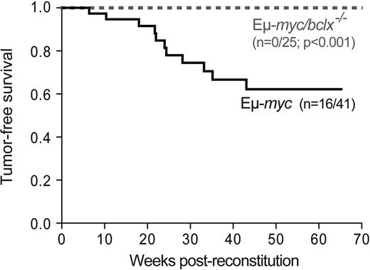 Figure 5. Bcl-xL is required for the development of Eμ-myc–induced B cell lymphoma. Kaplan-Meier analysis of tumor development in mice reconstituted (as shown in Figure 2A) with fetal liver cells from Eμ-myc (n = 41) or Eμ-myc/bcl-x−/− (n = 25) embryos. Mice were killed when deemed sick by an animal technician blinded to their genotype, and the presence of fetal liver donor-derived Εμ-myc pre-B or B lymphoma was confirmed by histological analysis and immuno-phenotyping. Cohorts of control mice (lethally irradiated C57BL/6-Ly5.1 coreconstituted with bcl-x−/− (n = 21) or wt (n = 27) fetal liver cells plus rag-2−/− bone marrow cells) were also followed. As anticipated, none developed pre-B or B-cell lymphoma within 70 weeks.