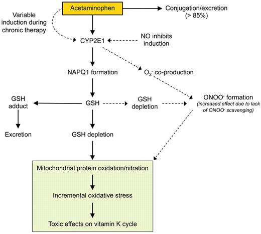 Figure 1. Determinants of variable induction of oxidative stress by acetaminophen. GSH indicates glutathione; NO, nitric oxide; and ONOO−, peroxynitrite.