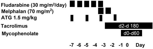 Figure 1. Haplo-cord SCT RIC regimen.