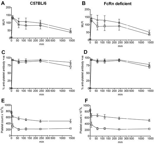 Figure 1. The absence of FcRn does not result in reduced in vivo antiplatelet antibody binding to platelets or affect the ability of IVIg to inhibit ITP. C57BL/6 wild-type mice and FcRn-deficient mice were injected with antiplatelet antibody alone or antiplatelet antibody 30 minutes after IVIg treatment. Mice were bled at the indicated times for antiplatelet antibody staining or platelet enumeration. Platelets obtained from C57BL/6 mice (A,C) injected with antiplatelet antibody alone (□) or IVIg + antiplatelet antibody (▵) and FcRn-deficient mice (B,D) injected with antiplatelet antibody alone (□) or IVIg + antiplatelet antibody (▵) were stained with a fluorescent anti–rat IgG antibody and analyzed by flow cytometry for mean log channel fluorescence intensity (MLFI; A-B) or percentage positive platelets (C-D) of antiplatelet antibody binding. The x-axis indicates the time of bleeding after antiplatelet antibody injection; and y-axis, the MLFI of antiplatelet antibody binding (A-B) or percentage positive platelets (C-D). n = 8 mice per group from 4 independent experiments. Data are mean ± SEM. Platelet-rich plasma from the C57BL/6 mice (A,C) and FcRn-deficient mice (B,D) were used to enumerate platelets by a Z2 Coulter Counter in panels E and F, respectively.19 The x-axis indicates the time of bleeding after antiplatelet antibody injection; and y-axis, platelet count. n = 8 mice per group from 4 independent experiments. Data are mean ± SEM.