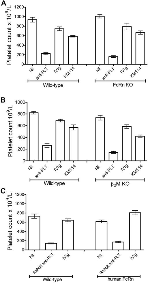 Figure 2. IVIg and anti-CD44 antibody inhibit thrombocytopenia in FcRn- and β2M-deficient mice. (A) C57BL/6 or FcRn-deficient mice were pretreated with nothing (“Nil,” “anti-PLT”) or with 50 mg IVIg or 50 μg anti-CD44 antibody KM114. Thirty minutes later, all mice except Nil received antiplatelet antibody. Twenty-four hours later, all mice were bled and platelets enumerated. The x-axis indicates treatment groups; and y-axis, platelet count. n = 10 mice per group from 5 independent experiments. Data are mean ± SEM. (B) C57BL/6 or β2M-deficient mice were treated as in panel A. n = 6 mice per group from 3 independent experiments. Data are mean ± SEM. (C) C57BL/6 or human FcRn transgenic mice were treated as in panel A, except that 1 μL of a rabbit polyclonal antiplatelet antibody was used to induce thrombocytopenia. Twenty-four hours later, all mice were bled and platelets enumerated. n = 4 mice per group from 2 independent experiments. Data are mean ± SEM.