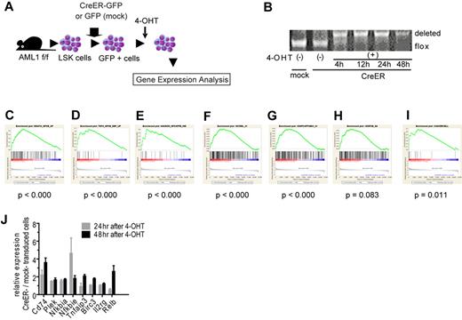 Figure 1. NF-κB signaling is activated in AML1-deficient cells. (A) Schematic representation of the gene expression analysis. LSK cells from AML1 cKO mice (AML1 f/f) were transduced CreER-GFP or GFP expressing retroviruses. GFP+ cells were sorted and were subjected to gene expression analysis 24 or 48 hours after adding 4-OHT. (B) PCR genotyping of BM cells from AML1 cKO mice after adding 4-OHT. (C-I) NF-κB–related gene sets enriched in AML1-defecient cells (AML1 flox/flox, CreER+ 24 and 48 hours after adding 4-OHT) by GSEA Version 2.0. (C) A gene set that includes genes up-regulated by NF-κB (HINATA_NFKB_UP). (D) A gene set that includes genes which are up-regulated TNF-α treatment (TNFA_NFKB_DEP_UP). (E) A gene set that includes Ras-inducible, NF-κB–regulated genes (HANSON_NFKAPPB_IND). (F) A gene set that includes genes with promoter regions containing REL motif (V$CREL_01); (G) a gene set which includes Genes with promoter regions containing p65 motif (V$NFKAPPAB65_01). (H) A gene set that includes genes with promoter regions containing NF-κB motif ($NFKB_Q6). (I) Target genes of NF-κB.21 Nominal P value was estimated by GSEA software. (J) mRNA expression for NF-κB target genes in LSK cells transduced with CreER or mock from AML1 f/f mice 24 or 48 hours after 4-OHT addition. Error bars show mean ± SEM.