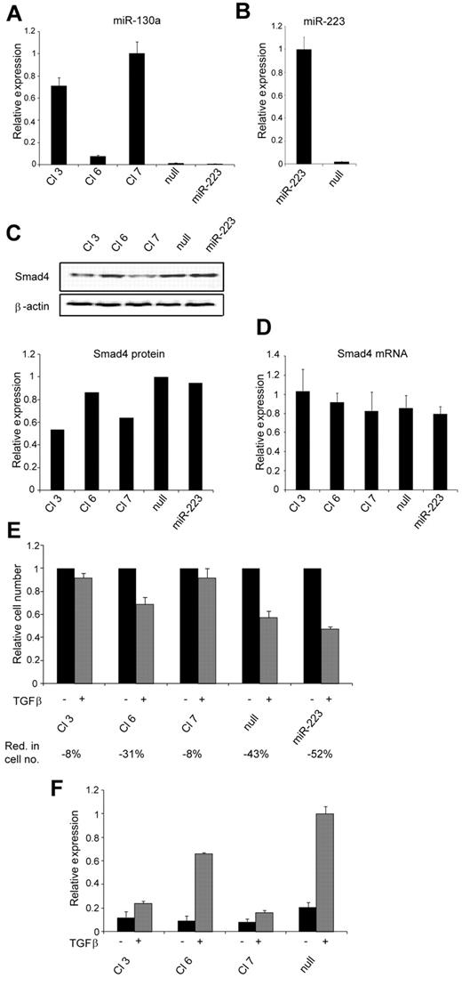 Figure 3. Biologic effect of increased miR-130a expression. Stable transfection of 32Dcl3 cells with the pEGP-miR-130a, pEGP-miR-223, or pEGP-miR-Null vectors was performed, generating 3 pEGP-miR-130a (Cl 3, Cl 6, and Cl 7) clones, 1 pEGP-miR223 (miR-223) clone, and 1 pEGP-miR-null (null) clone. (A) Relative miR-130a expression in Cl 3, Cl 6, Cl 7, null, and miR-223 was determined by real-time PCR and normalized to Sno234 expression. (B) Relative miR-223 expression in clone miR-223 and null was determined by real-time PCR and normalized to Sno234 expression. (C) Immunoblot showing Smad4 protein expression in the Cl 3, Cl 6, Cl 7, null, and miR-223 clones. The graph shows the relative expression of Smad4 protein relative to the expression of β-actin. The highest value among those being compared was assigned the value 1, and the remaining values were recalculated accordingly. (D) The relative expression level of Smad4 mRNA in the Cl 3, Cl 6, Cl 7, null, and miR-223 clones was measured by real-time PCR and normalized to β-actin expression. Data are shown as the mean ± SD from triplicate measurements. (E) Cell proliferation assays were performed with the clones Cl 3, Cl 6, Cl 7, null, and miR-223 in the presence or absence of human recombinant TGF-β1 (20nM). The graph shows the relative number of cells after 4 days when TGF-β1–stimulated cells are compared with unstimulated cells for each clone. The mean reduction in cell number (Red. in cell no.) for TGF-β1–stimulated cells for each clone was 8% for Cl 3, 31% for Cl 6, 8% for Cl 7, 43% for null, and 52% for miR-223 (the values are based on 3 independent growth experiments). The cell number for the unstimulated cells was assigned the value 1, and the relative number of TGF-β1–stimulated cells was recalculated accordingly. (F) The clones Cl 3, Cl 6, Cl 7, and null were cotransfected with the TGF-β1–inducible firefly luciferase reporter plasmid CAGA12-MLP-Luc, along with a renilla luciferase reporter for normalization of transfection. The cells were cultured in standard medium for 24 hours and then incubated with or without human recombinant TGF-β1 (20nM) for an additional 6 hours before determination of luciferase activity by use of the Dual-Luciferase Reporter Assay System. The experiment was repeated 3 times with similar results. The highest value in the transfection series was assigned the value 1, and the relative expression of the other samples was recalculated accordingly.