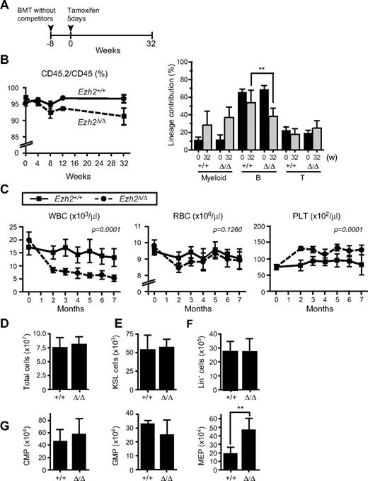 Figure 3. Depletion of Ezh2 in hematopoietic cells in adult mice does not greatly compromise hematopoiesis. (A) Schema of conditional deletion of Ezh2 in adult mice. BM cells from 8-week-old Cre-ERT and Cre-ERT;Ezh2fl/fl mice were transplanted into lethally irradiated recipient mice without competitor cells. At 8 weeks after transplantation, recipient mice were injected with tamoxifen for 5 consecutive days, and their PB was monitored for 32 weeks. (B) Donor chimerism and lineage contribution in PB. The chimerism of CD45.2+ donor-derived cells in PB of recipient mice was monitored for 32 weeks after injection of tamoxifen (left panel). Lineage contribution of donor cells to myeloid (Gr-1+ and/or Mac-1+), B (B220+), or T (CD4+ and or CD8+) cells is also shown in the right panel. Data are mean ± SD (n = 10). (C) PB cell counts of recipients repopulated with Cre-ERT and Cre-ERT;Ezh2fl/fl BM cells after deletion of Ezh2 by tamoxifen injection. Data are mean ± SD (Tie2-Cre, n = 8; Tie2-Cre;Ezh2fl/fl, n = 9). Statistical analysis was performed using 2-way repeated-measures ANOVA. (D-G) Absolute numbers of BM cells (D), KSL HSC/MPPs (E), Lin− cells (F), and CMPs, GMPs, and MEPs (G) in BM of the recipient mice at 32 weeks after tamoxifen injection. Data are mean ± SD (n = 6). **P < .005.