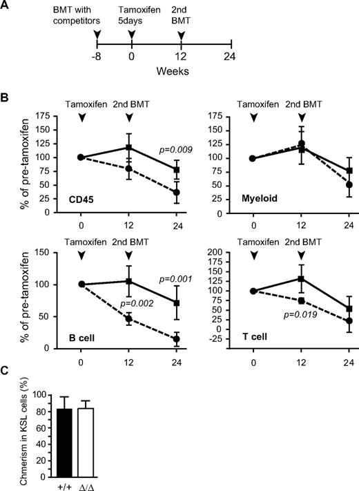 Figure 4. Reconstitution capacity of Ezh2-deficient BM cells is almost intact. (A) Schema of competitive reconstitution assays to evaluate Ezh2-deficient BM cells. BM cells from 8-week-old Cre-ERT and Cre-ERT;Ezh2fl/fl mice were transplanted into lethally irradiated recipient mice with the same number of competitor BM cells (1 × 106 cells). At 8 weeks after transplantation, recipient mice were injected with tamoxifen for 5 consecutive days; and after a further 12 weeks, secondary transplantation was performed. (B) Donor chimerism in PB at 12 weeks after primary and secondary transplantations. Donor chimerism in PB at the point just before tamoxifen injection was arbitrarily set to 100%. Data are mean ± SD (n = 6): ■ represents wild-type BM cells; and , Ezh2Δ/Δ BM cells. (C) Donor chimerism in BM KSL cells at 12 weeks after primary transplantation. Data are mean ± SD (n = 4).