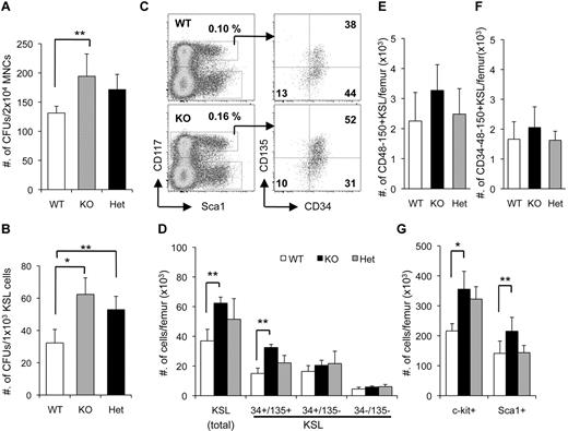 Figure 1. Enhanced proliferation of hematopoietic progenitor cells in Dmtf1−/− mice. BM-MNCs (A) or sorted KSLs (B) from WT, Dmtf1-KO, or Het mice were cultured with cytokines in methylcellulose medium for 10 days (n = 3) *P < .01 and **P < .05. (C) Representative dot plots showing MPPs (CD34+135+KSL), ST-HSCs (CD34+135−KSL), and LT-HSCs (CD34−135−KSL) in WT and Dmtf1-KO BM. (D) Quantification of the absolute number of KSLs, MPPs, ST-HSCs, and LT-HSCs and (G) quantification of the absolute number of progenitors (c-Kit+ and Sca1+) expressed as average ± SD per femur (n = 6). *P < .03 and *P < .05. (E) Absolute numbers of slamKSL (CD48−CD150+KSL) and (F) CD34− slamKSL expressed as average ± SD per femur (n = 7).