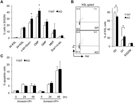 Figure 2. Cell-cycle alterations in steady-state BM of Dmtf1−/− mice. (A) Cell-cycle analysis in steady-state BM was performed with DAPI. Percentages of cycling cells (S/G2/M) are shown for each fraction (n = 4). *P < .05. (B) Cell-cycle status of KSL cells was evaluated with Hst/Py staining. WT or Dmtf1−/− BM low-density cells were stained for surface antigens followed by Hst/Py staining. Dot plots in panel B show representative results of Hst/Py staining of WT and KO cells depicting G0 (bottom left quadrant), G1 (top left quadrant), and S/G2/M (top right quadrant) in KSL cells. Bar graph to the right shows the percentage of cells in the 3 phases of cell-cycle as average ± SD. *P < .03. (C) Lin− cells from WT and Dmtf1−/− mice were cultured without cytokines in serum-supplemented medium for the indicated times and stained with annexin V/propidium iodide (PI). Data shown are the mean percentage ± SD of annexin V+/PI− and annexin V+/PI+ cells. No significant differences were observed between WT and Dmtf1−/− mice (n = 3).