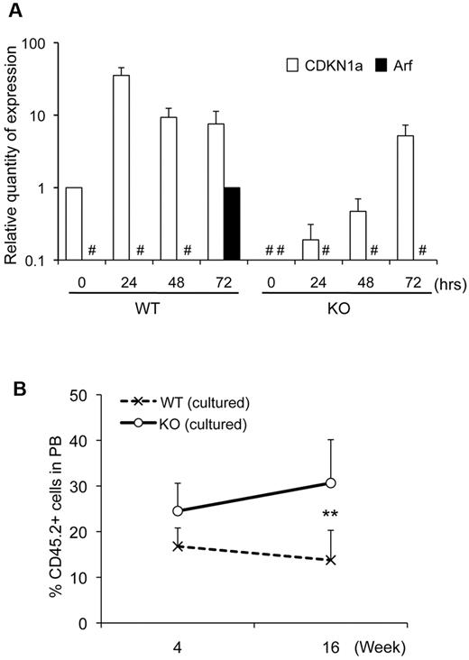 Figure 5. Dysregulation of CDKN1a (p21) and Arf in Dmtf1−/− KSL cells. (A) Sorted KSL cells from null or WT mice were cultured with SCF/TPO/Flt3-ligand/IL-3. Cells were harvested at the indicated time points and the expression of cdkn1a (p21) and Arf were evaluated by quantitative RT-PCR. (B) One thousand sorted KSL cells from KO or WT mice were cultured for 72 hours under the same conditions described in panel A, and then transplanted into lethally irradiated mice in competition with 3 × 105 B/J MNCs. Chimerism was analyzed by flow cytometric analysis (n = 5 in each group).