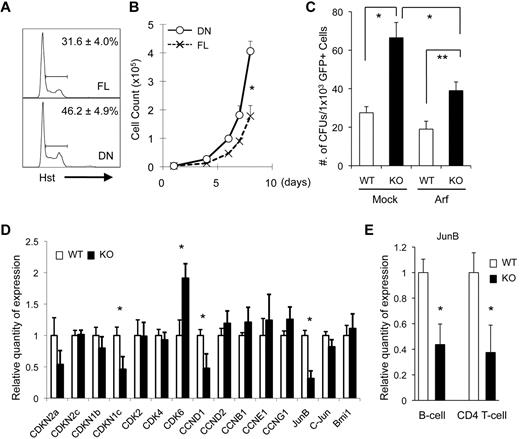 Figure 6. Dmtf1 has both Arf-dependent and Arf-independent pathways. (A) Human Dmtf1-FL or Dmtf1-DN were retrovirally transduced into Jurkat T cells (Arf-null) and purified by GFP sorting. Cell-cycle analysis was measured with Hst staining. Results are shown as average ± SD (n = 3). *P < .05. (B) Cell numbers of Jurkat cells expressing FL or DN were determined daily. *P < .01. Results shown are from 1 of 3 independent experiments. (C) Retroviral vector MIG-Arf and MIG-Mock were transduced into WT or Dmtf1-KO Lin− cells, and GFP+ cells were sorted flow cytometrically and used in a CFU assay. Results are from 1 of 3 independent experiments. *P < .01 and **P < .03. (D) Analysis of gene expression in Dmtf1-KO KSLs by quantitative RT-PCR analysis of RNA isolated from sorted KSL cells from primary Dmtf1-KO or WT. The relative expression is shown normalized to gene expression in control HSCs (mean ± SD, n = 3). *P < .05. (E) Relative expressions of JunB in B and CD4+ T cells. Sorted splenic B cells and CD4+ T cells were analyzed by quantitative RT-PCR. The relative expression is shown normalized to gene expression in WT CD4 or B cells, respectively (mean ± SD, n = 3). *P < .05.