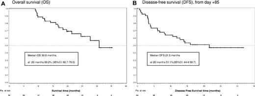 Figure 2. Survival curves. (A) OS. (B) DFS from day 85.