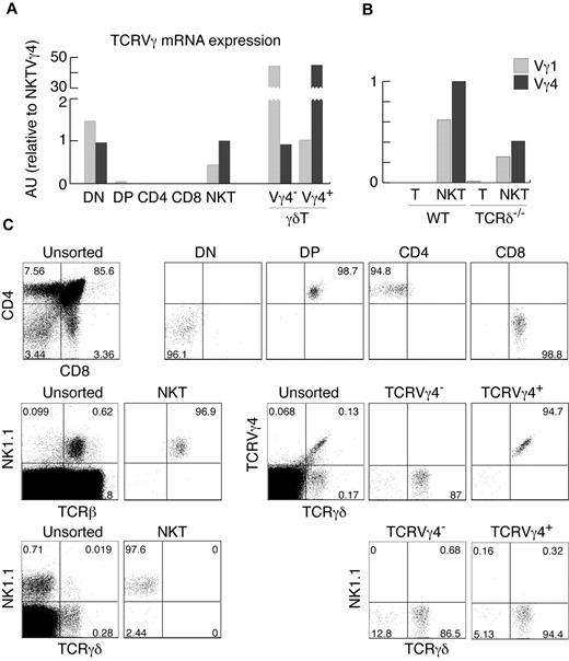 Figure 1. αβNKT cells express TCRγ mRNA. (A-B) Expression of TCRVγ genes normalized to β-actin in the indicated thymocyte subpopulations, measured by real-time RT-PCR in arbitrary units relative to NKT Vγ4 (AU). (C) Numbers in dot plots show percentages and indicate the purity of thymocyte subsets, sorted as indicated in “Cell preparation, flow cytometry, and cell sorting,” from which mRNA was isolated. Sorted NKT cells were not contaminated with γδT cells. Proportions of given subpopulations in unsorted thymocytes are also shown. Data are representative of at least 2 independent experiments.