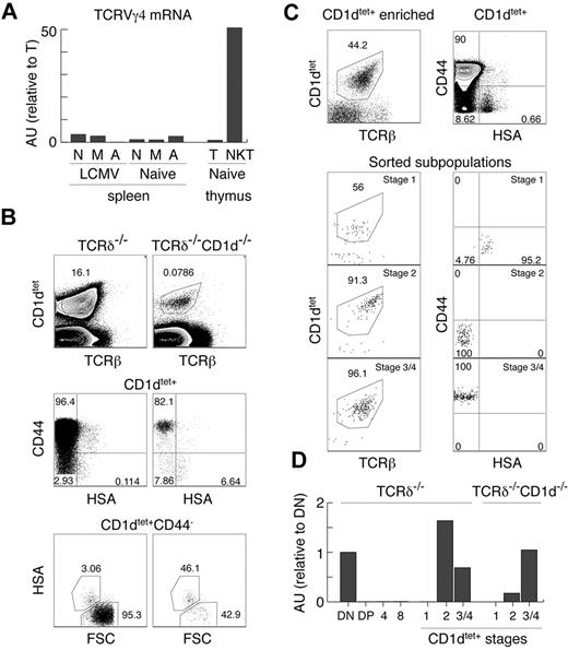 Figure 4. Lack of permanent TCRγ silencing in innate T cells. (A) Expression of TCRVγ4 mRNA normalized to β-actin in the indicated subpopulations, measured by real time RT-PCR in arbitrary units relative to mature thymocytes (AU). N indicates naive splenocytes TCRγδ−TCRβ+CD44−CD62L+; M, memory splenocytes TCRγδ−TCRβ+CD44+CD62L+; A, activated splenocytes TCRγδ−TCRβ+CD44+CD62L−; T, mature thymocytes TCRγδ−TCRβhi; and NKT, thymic NKT TCRγδ−TCRβloNK1.1+. (B-C) Analysis of MACS enriched, CD1dtet+ iNKT cells from the thymus of TCRδ−/− and CD1d−/−TCRδ−/− (B) and the sorted CD1dtet+ T-cell subsets from TCRδ−/− mice. (C) Numbers in dot plots show percentages. (D) Expression of TCRVγ4 mRNA normalized to cell number in the indicated subpopulations sorted from TCRδ−/− and CD1d−/−TCRδ−/− mice measured by real-time RT-PCR (see “Two-stage RT-PCR”) in arbitrary units relative to DN thymocytes (AU).