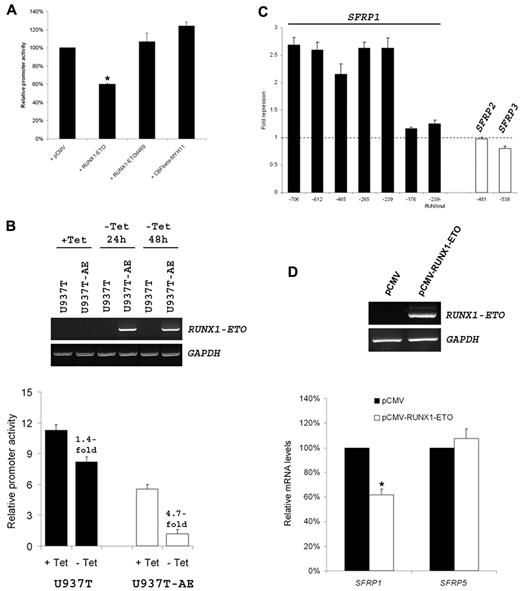Figure 5. RUNX1-ETO specifically repressed the SFRP1 gene through a consensus RUNX binding site on the SFRP1 promoter. (A) The SFRP1 promoter-luciferase construct −706-Luc was cotransfected with pCMV-RUNX1-ETO, pCMV-CBFβ-MYH11, or pCMV-RUNX1-ETOΔ469 together with pRL-CMV into U937 cells. Results are presented as relative promoter activity by comparing the normalized firefly luciferase activity of the construct cotransfected with the expression plasmids to that cotransfected with empty pCMV. (B top) Confirmation of RUNX1-ETO induction on tetracycline withdrawal in U937T-AE cells by semiquantitative RT-PCR. Amplification of GAPDH cDNA was done as internal control. No RUNX1-ETO induction was observed in the parental U937T cells. (B bottom) The SFRP1 promoter-luciferase construct −706-Luc was cotransfected with pRL-CMV into U937T and U937T-AE cells. Six hours after transfection, the medium was removed, and cells were cultured for another 48 hours in the presence or absence of tetracycline (Tet) before luciferase measurement. Transfection with the same amount of pGL3-Basic and pRL-CMV was done in parallel. Results are presented as relative promoter activity by comparing the normalized firefly luciferase activity of the construct with that of pGL3-Basic in each respective group (+Tet or −Tet). The fold of repression is indicated. (C) SFRP1, SFRP2, and SFRP3 promoter-luciferase constructs were cotransfected with pCMV-RUNX1-ETO and pRL-CMV into HeLa cells. Cotransfection with the same amount of empty pCMV was done in parallel. Results are presented as fold of repression by comparing the normalized firefly luciferase activity of the construct cotransfected with pCMV-RUNX1-ETO with that cotransfected with empty pCMV. All numberings are relative to the first nucleotide of the start codon (+1) of each gene. In all experiments, transfection efficiency was normalized according to the cotransfected pRL-CMV Renilla luciferase activity. (D) A549 cells were transfected with 10 μg of pCMV or pCMV-RUNX1-ETO with the use of Lipofectamine 2000. RUNX1-ETO expression was validated by RT-PCR (top), and SFRP mRNA levels were determined by real-time RT-PCR and normalized with GAPDH (bottom) 48 hours after transfection. All results are expressed as mean ± SE from at least triplicate assays. *P < .05.