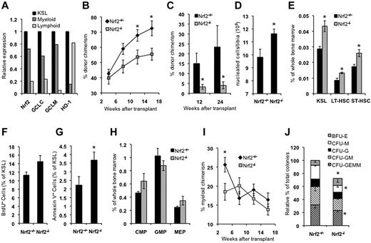 Figure 1. Nrf2−/− mice have abnormalities in BM and HSPC function. (A) Nrf2 and target gene expression is highest in HSPCs. Expression of the Nrf2 target genes glutamate-cysteine ligase catalytic subunit (GCLC), glutamate-cysteine ligase modifier subunit (GCLM), and heme oxygenase 1 (HO-1) were quantified in pooled BM from 5 Nrf2+/+ mice. Cells from the KSL, myeloid (c-Kit+Sca1−Lin−), and lymphoid (c-KitdimSca1+Lin−) progenitor compartments were isolated by FACS and quantitative RT-PCR performed in triplicate. Gene expression was normalized to β-actin and quantified relative to KSL cells. (B) Whole BM from Nrf2−/− mice has decreased stem cell activity. Whole BM cells (666 000) from Nrf2+/+ and Nrf2−/− were mixed with 333 000 CD45.1 competitor normal BM cells (2:1 ratio) and injected into lethality irradiated CD45.1 hosts. Peripheral blood was analyzed for donor chimerism at the indicated time points. Data are the combined averages from 6 total mice per genotype from 2 separate experiments. *P < .05. (C) Phenotypic HSPCs from Nrf2−/− show defective transplantation. Five hundred KSL cells from Nrf2+/+ and Nrf2−/− mice were mixed with 250 000 CD45.1 competitor normal BM cells and injected into lethally irradiated CD45.1 hosts. Peripheral blood was analyzed for donor chimerism at the indicated time points. Data represent the average peripheral blood engraftment from 10 total recipient mice per genotype in 2 separate experiments.*P < .05. (D) BM cellularity in Nrf2+/+ and Nrf2−/− mice. Average number of cells per tibia. n = 6 mice each group. *P = .019. (E) Progenitor and stem cell numbers are increased in Nrf2−/− mice. Relative frequency of KSL, LT-HSC (CD34− c-Kit+Sca1+Lin−), and ST-HSC (CD34+ c-Kit+Sca1+Lin−) cells. (F) HSPCs in Nrf2−/− mice are more proliferative as shown by BrdU uptake in vivo. Mice were injected with 100 mg/kg of BrdU to mark actively proliferating cells, and BM was harvested 14 hours later and assessed for BrdU labeling by flow cytometry. Data represent the average number of BrdU-positive KSL cells for each genotype. P = .06. (G) Greater rates of spontaneous apoptosis in Nrf2−/− HSPCs. Freshly isolated BM cells were analyzed by flow cytometry for annexin V positivity to identify apoptotic cells. Data are average values of annexin V+ cells as a percentage of the KSL compartment. *P < .01. (H) Myeloid progenitor frequency. Nrf2−/− BM cells were examined by flow cytometry. Increased common myeloid progenitors (FcRγlowCD34+c-Kit+Sca1−Lin−) and decreased granulocyte-monocyte progenitors (FcRγhighCD34+c-Kit+Sca1−Lin−) were observed, with a trend (P < .1) toward statistical significance. (I) Early myeloid engraftment is impaired in mice transplanted with Nrf2−/− BM. Percentage of CD45.2+ cells in peripheral blood expressing myeloid lineage markers Gr1+/Mac1+ from mice transplanted with Nrf2+/+ and Nrf2−/− BM as in Figure 1C. *P = .007. (J) In vitro myeloid colony formation is impaired in Nrf2−/− mice. One hundred KSL cells were plated in methylcellulose medium supplemented with cytokines, and the colonies were scored at 14 days. *P < .05