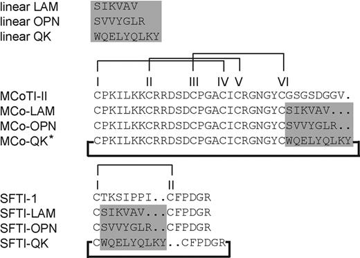 Figure 2. Sequences of the grafted peptides with their corresponding native cyclic peptide scaffolds. The highlighted region is the position where angiogenic sequences were grafted. All grafted peptides were successfully folded except the one labeled with an asterisk. Disulfide bond connectivities are I-IV, II-V, III-VI, and I-II for MCoTI-II- and SFTI-1–grafted peptides, respectively. The bold line indicates that all grafted and native peptides were cyclized.