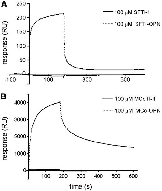 Figure 7. Interaction of cyclic scaffolds versus OPN-grafted peptides with immobilized α9β1 integrin. (A) SPR sensorgrams of SFTI-1 and SFTI-OPN. (B) SPR sensorgrams of MCoTI-II and MCo-OPN. SFTI-OPN and MCo-OPN bound to the integrin, in contrast to SFTI-1 and MCoTI-II.