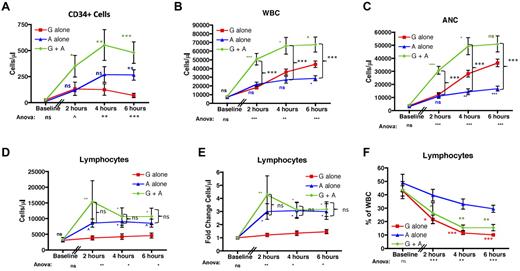 Figure 2. AMD3100 leads to significant lymphocyte mobilization into the peripheral blood. (A) CD34 cells were quantified based on the number of CD45-FITC lymphocytes expressing CD34-PE per microliter of blood before (n = 3) and 2, 4, and 6 hours after mobilization (n = 6 for each time point). (B-F) The total peripheral blood WBC (B), ANC (C), lymphocyte count (D), fold change in the lymphocyte count (E), and the percentage of the whole blood accounted for by lymphocytes (F). (B-F) Data were collected at baseline and at 2, 4, and 6 hours after treatment with AMD3100 (n = 6 for each time point). Red squares represent mobilization with G-CSF alone; blue triangles, mobilization with AMD3100 alone; and green circles, mobilization with G-CSF + AMD3100. Error bars represent SEM. Statistical analysis was performed by pooling the data from 2 separate experiments in which groups of 3 animals each were treated with either G-CSF alone, AMD3100 alone, or G-CSF + AMD3100. Values obtained with AMD3100 alone, G-CSF alone, or G-CSF + AMD3100 at baseline and at 2, 4, and 6 hours after mobilization were log-transformed and then subjected to ANOVA and posthoc Tukey testing. ANOVA statistics comparing all 3 treatment groups are shown below the x-axis. (A-E) Posthoc Tukey statistics comparing AMD3100 alone with G-CSF alone (blue symbols), G-CSF + AMD3100 alone with G-CSF alone (green symbols), or G-CSF + AMD3100 with AMD3100 (black brackets) are shown. (F) Posthoc Tukey statistics comparing AMD3100 alone with G-CSF alone or AMD3100 alone with G-CSF + AMD3100 are shown in red or green symbols, respectively. ns indicates not significant (P > .1). ^P < .1. *P < .05. **P < .01. ***P < .001.