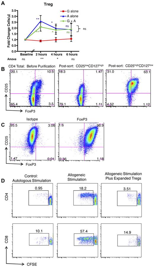 Figure 4. AMD3100 leads to rapid and significant mobilization of Tregs into the peripheral blood. (A) Fold change in Tregs in the peripheral blood compared with baseline in animals treated with G-CSF, AMD3100, or G-CSF + AMD3100. Data were collected at baseline (before mobilization) and 2, 4, and 6 hours after treatment with AMD3100. Red squares represent G-CSF alone (n = 6); blue triangles, AMD3100 alone (n = 6); and green circles, G-CSF + AMD3100 (n = 6). Error bars represent SEM. The statistical analysis was performed as described in Figure 3. ns indicates not significant (P > .1). ^P < .1. *P < .05. **P < .01. ***P < .001. (B) Column-purified CD4+ T cells (left panel), flow-sorted putative non-Tregs (CD4+, CD25low, CD127high, middle panel), and flow-sorted putative Tregs (CD4+, CD25high, CD127low, right panel) were stained for CD4, CD25, and intracellular FoxP3, documenting that the putative Treg population (right panel) stained highly positive for FoxP3. (C) Expanded Tregs were stained for CD4, CD25, and either FoxP3 (right) or its corresponding isotype control (left). (D) CFSE MLR assay gated on either CD4+ T cells (top row) or CD8+ T cells (bottom row) in which the percentage of CFSE-labeled responder cells that have undergone at least one round of proliferation was quantified using FlowJo Version 9.3.1 flow cytometric analysis software. Left column: Responder PBMCs plus irradiated autologous PBMC stimulator cells. Middle column: Responder PBMCs plus irradiated allogeneic PBMC stimulator cells. Right column: Responder PBMCs plus irradiated allogeneic PBMC stimulator cells, plus CD3+, CD4+, CD25high, CD127low, FoxP3+ Tregs.