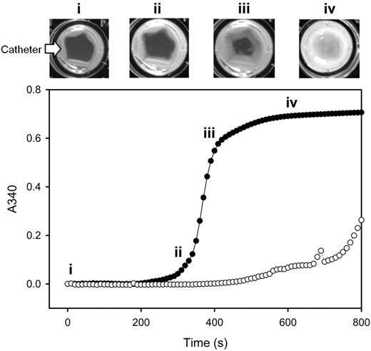 Figure 1. Catheter-induced clotting in platelet-poor plasma. Pooled platelet-poor plasma was incubated in wells of a 96-well plate at 37°C in the absence (open circles) or presence of PCI catheter segments (closed circles). After the addition of CaCl2 to 20mM, absorbance was monitored at 340 nm at 10-second intervals, and the values were plotted versus time. A well from a separate plate at 37°C was photographed at 30-second intervals, and individual images at 4 time points (labeled i-iv) are displayed above the plot. The arrow identifies the catheter segment. With increasing incubation times, an opaque clot forms on the catheter segments positioned at the periphery of the well and then extends to fill the center of the well.