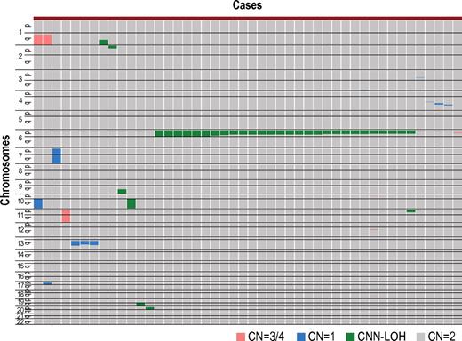 Figure 1. Copy number changes and allelic imbalances in 46 of the 306 AA cases. The copy number changes and allelic imbalances (or CNN-LOHs) in each case are summarized in the chromosomal order vertically for 46 AA cases with copy number abnormalities. Gains and losses, as well as CNN-LOHs, are shown in the indicated colors.