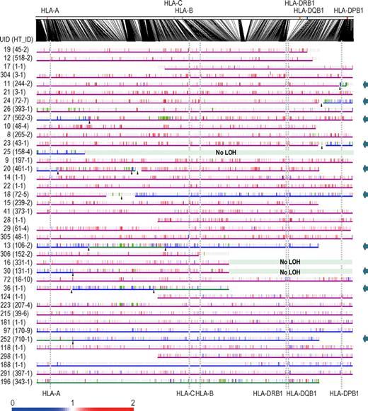 Figure 4. Imputation of missing HLA haplotypes. The observed allelic copy numbers at heterozygous SNP sites along each candidate SNP haplotype are color-coded as indicated at the bottom. Green bars showed the SNPs that are incompatible with the patient's genotype. Case IDs and haplotype ID (HT_ID) are indicated on the left. The locations of the 500K SNPs and HLA-A, C, B, DRB1, DQB1, and DPB1 are indicated in the figure. For each allele, genomic copy numbers were imputed using the circular binary segmentation algorithm. This divided each haplotype into one or more segments having discrete mean allelic copy numbers (blue arrows on the right). The positions of breakpoints are indicated by arrowheads. Finally, the mean allelic copy number of each segment was statistically compared with that of the corresponding segment on the other haplotype using the Wilcoxon signed rank test. Missing HLA haplotypes were determined based on the result of the statistic tests. Purple and blue lines indicated the retained and missing segments, respectively, whereas the allelic status was not determined statistically for those segments shown by green lines.