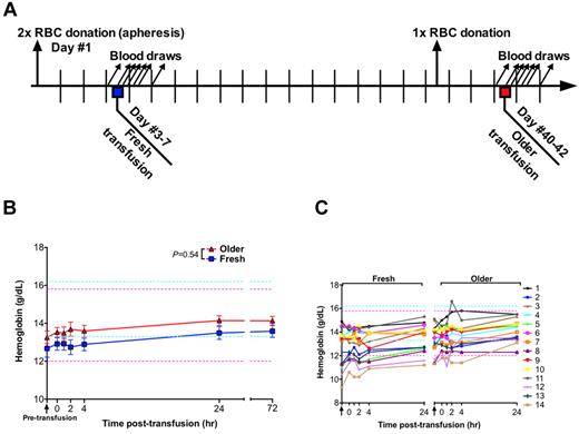 Figure 1. Study design and hemoglobin levels. (A) On day 1, each human volunteer donated 2 autologous RBC units by apheresis. One unit was transfused into the same participant after 3 to 7 days of storage (ie, “fresh”); the other unit was transfused after 40 to 42 days of storage (ie, “older”). One whole blood phlebotomy was performed 3 to 7 days before the older RBC transfusion to prevent post-transfusion erythrocytosis and to control for effects of recent blood loss on laboratory parameters. Blood samples were collected 90 minutes before transfusion and at 0, 1, 2, 4, 24, and 72 hours after transfusion. (B) Data are mean ± SEM for hemoglobin levels from before transfusion to 72 hours after transfusion of either fresh or older RBCs. The P value is as specified in the figure comparing the paired area under the curve of the mean hemoglobin levels for the N = 14 volunteers from 0 to 24 hours after the fresh and older RBC transfusions. (C) The individual hemoglobin levels for each subject up to 24 hours after transfusion. Vertical arrows indicate pretransfusion time points; and horizontal dashed lines, reference range values for men (blue) and women (pink).